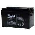 Аккумуляторная батарея Altek 6FM100GEL